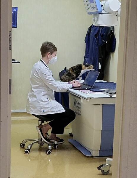 Dr. R entering files to the computer